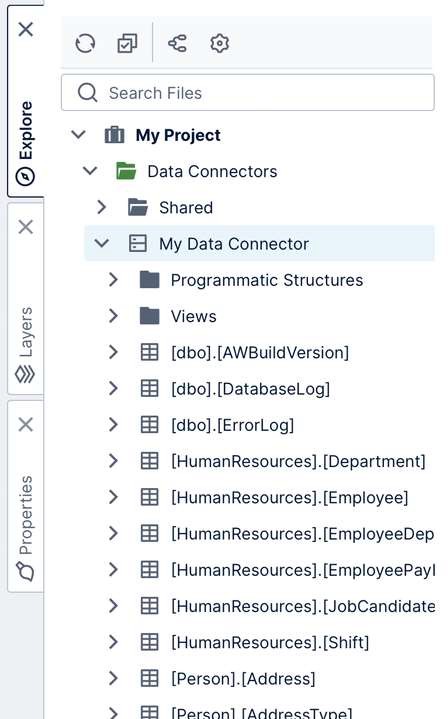 A data connector's data structures