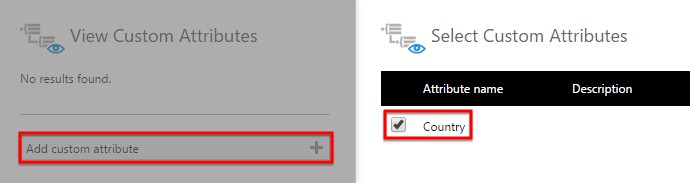 Select the custom attribute