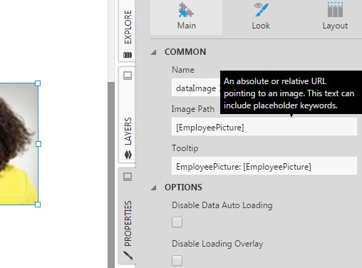 Image Path property